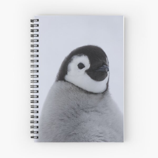 Item preview, Cute Emperor Penguin Chick 1 designed and sold by SBPenguins.