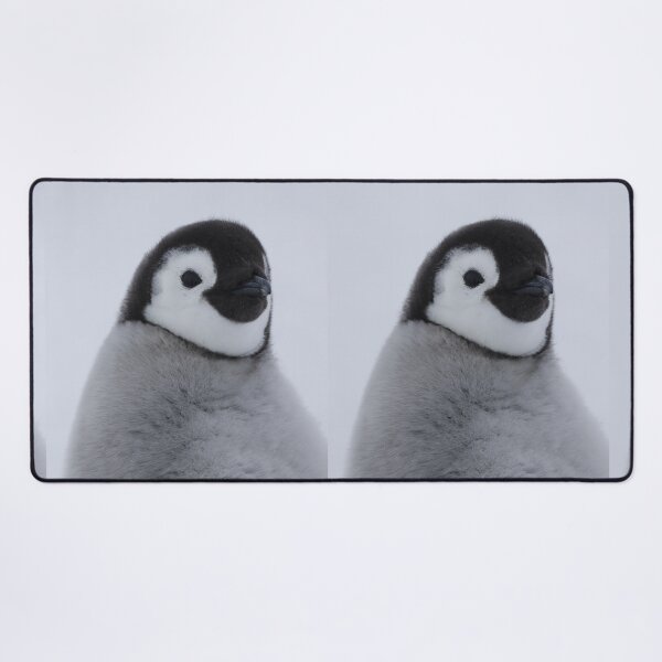 Item preview, Cute Emperor Penguin Chick 1 designed and sold by SBPenguins.