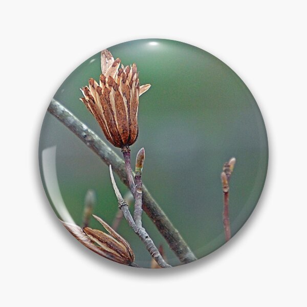 Item preview, Winter's Beauty designed and sold by ArkansasLisa.