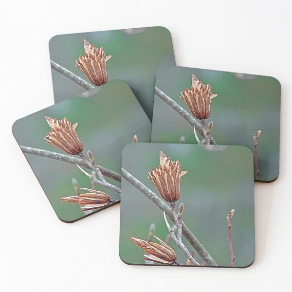 Item preview, Winter's Beauty designed and sold by ArkansasLisa.