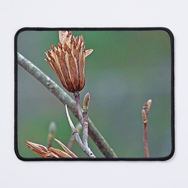 Item preview, Winter's Beauty designed and sold by ArkansasLisa.