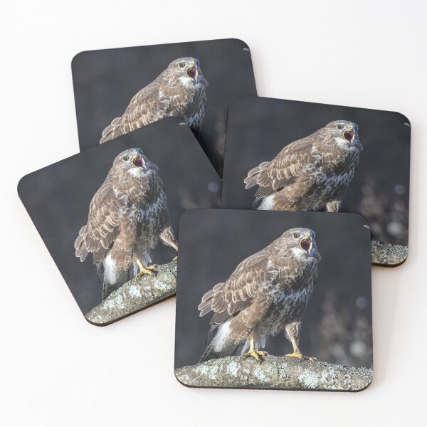 Item preview, Common Buzzard designed and sold by Tom McPherson Photography.