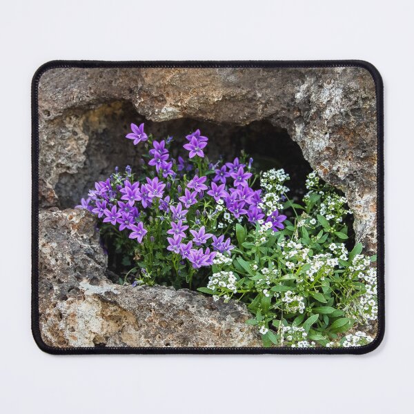 Item preview, Rock Flowers designed and sold by heatherfriedman.