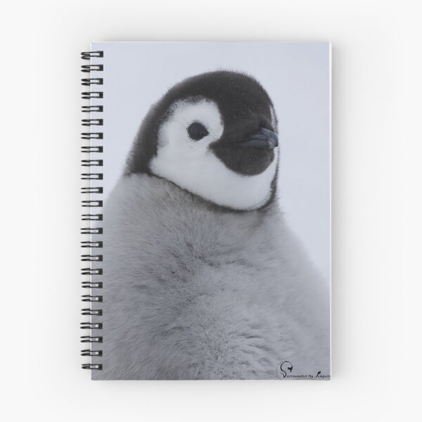 Item preview, Cute Emperor Penguin Chick 1 cropped (Black Background logo)  designed and sold by SBPenguins.