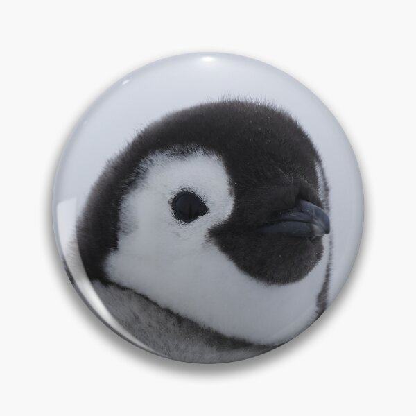 Item preview, Cute Emperor Penguin Chick 1 cropped (Black Background logo)  designed and sold by SBPenguins.