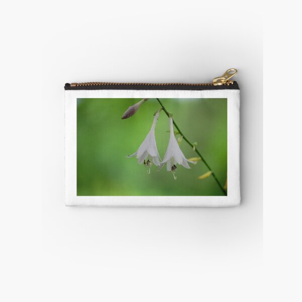 Aperçu de l'œuvre Hosta Bells créée et vendue par ArkansasLisa.