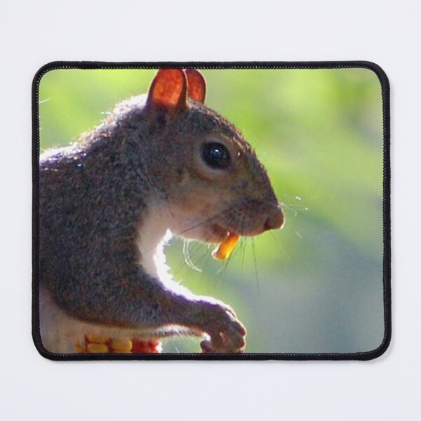 Item preview, Corn Tooth designed and sold by ArkansasLisa.