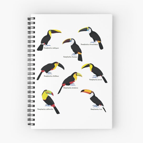 Item preview, Ramphastos family designed and sold by marivin.