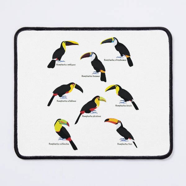 Item preview, Ramphastos family designed and sold by marivin.