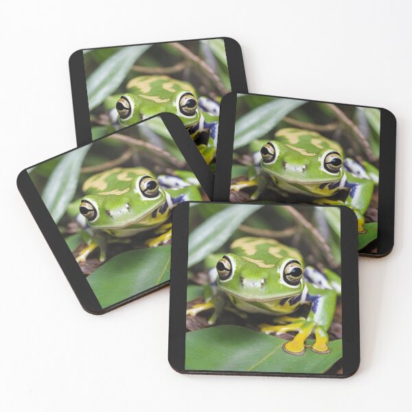 Item preview, Tree Frog Sitting On Leaf In Rainforest Colorful Design designed and sold by EarthArtDesigns.