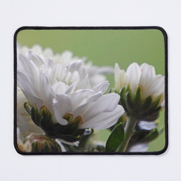 Artikelvorschau, Nature's Patterns & Textures entworfen und verkauft von ArkansasLisa.