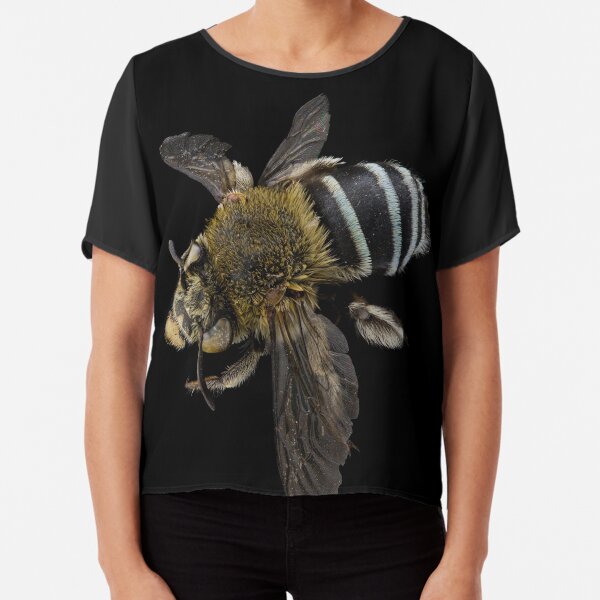 Blue banded bee (Amegilla species) Chiffon Top