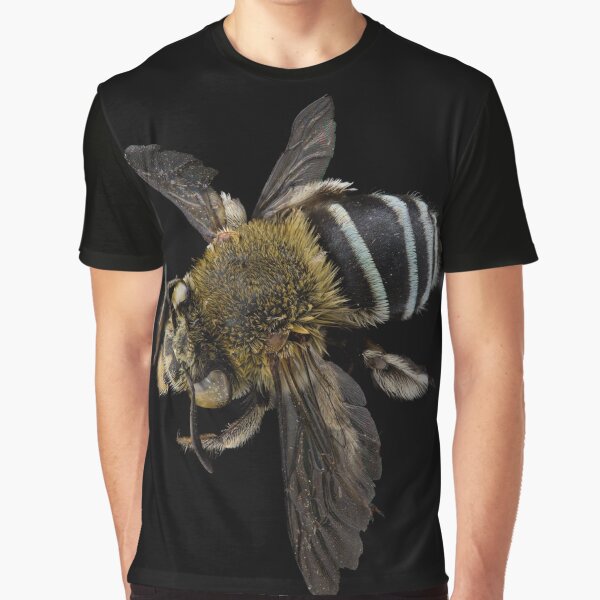 Blue banded bee (Amegilla species) Graphic T-Shirt