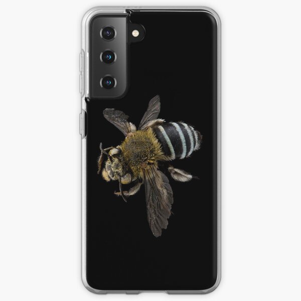 Blue banded bee (Amegilla species) Samsung Galaxy Soft Case