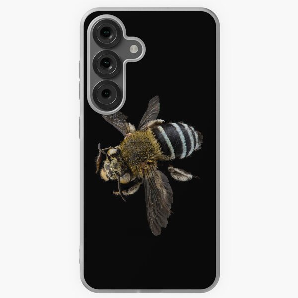Item preview, Blue banded bee (Amegilla species) designed and sold by BiosecurityColl.
