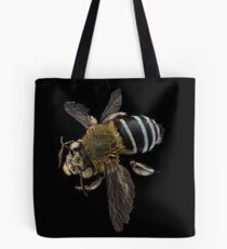 Blue banded bee (Amegilla species) Tote Bag