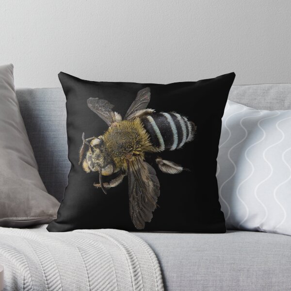 Blue banded bee (Amegilla species) Throw Pillow