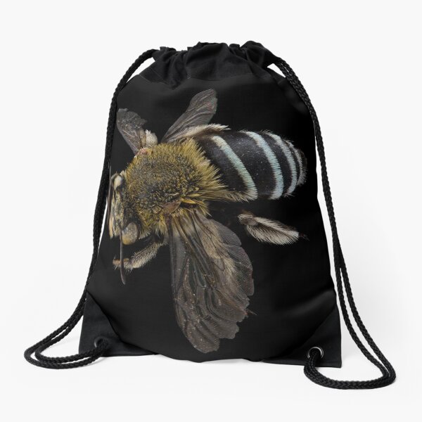 Item preview, Blue banded bee (Amegilla species) designed and sold by BiosecurityColl.