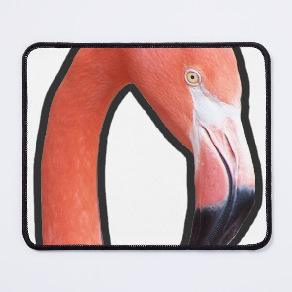 Item preview, Caribbean Flamingo  designed and sold by Sharon the Zoo Lady Photography .
