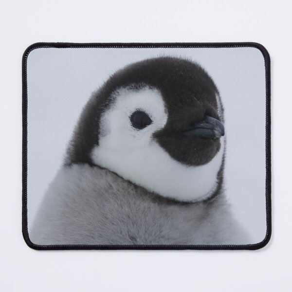 Item preview, Cute Emperor Penguin Chick 1 cropped (Black Background logo) designed and sold by SBPenguins.