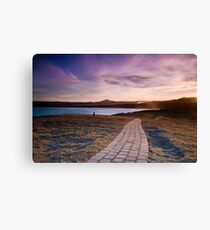Moonee path Canvas Print