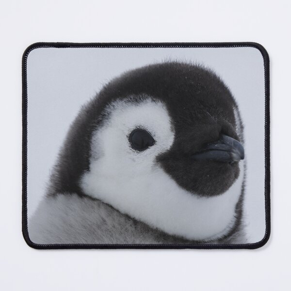 Item preview, Cute Emperor Penguin Chick 1 original size logo (Black Background) designed and sold by SBPenguins.