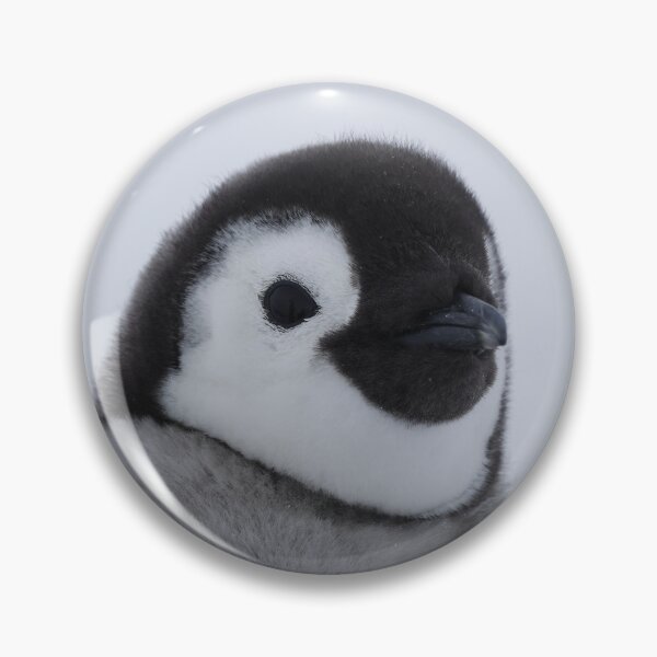 Item preview, Cute Emperor Penguin Chick 1 original size logo designed and sold by SBPenguins.