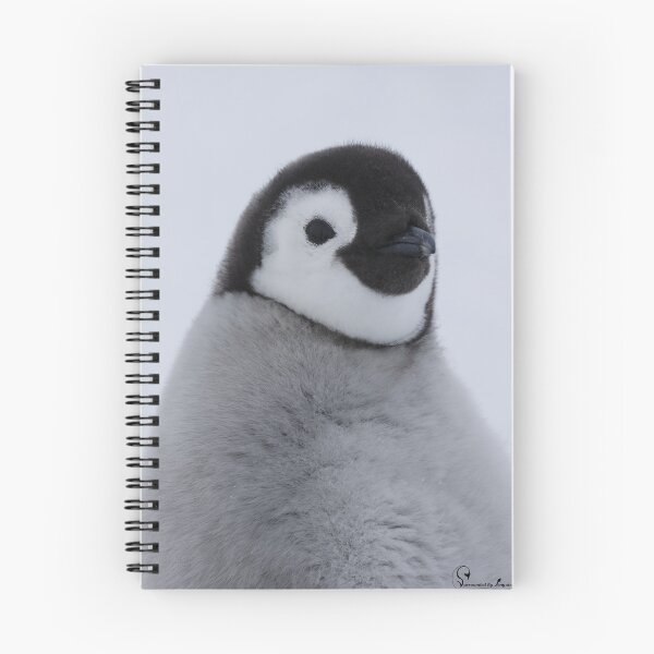 Item preview, Cute Emperor Penguin Chick 1 original size logo designed and sold by SBPenguins.