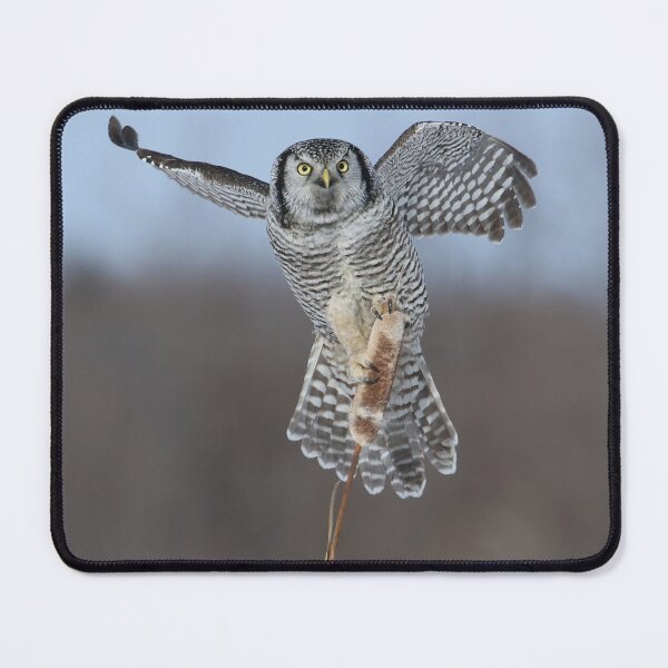 Item preview, Perfect Pose designed and sold by locustgirl.