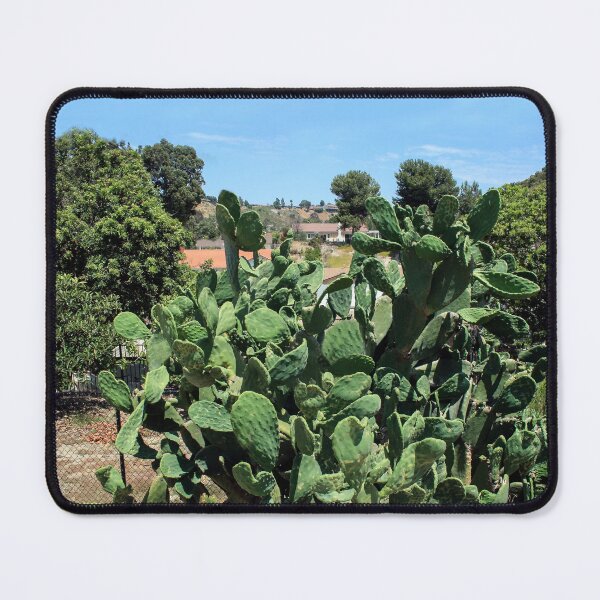 Item preview, Cactus Country designed and sold by heatherfriedman.