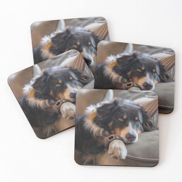 Item preview, "Paws for Health: Canine Fitness Goals 1" designed and sold by palmyst.