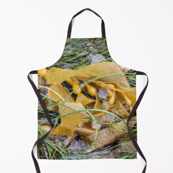 Item preview, Washed Up On the Beach designed and sold by heatherfriedman.