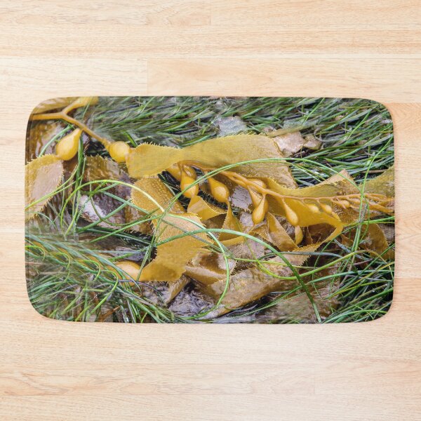 Item preview, Washed Up On the Beach designed and sold by heatherfriedman.