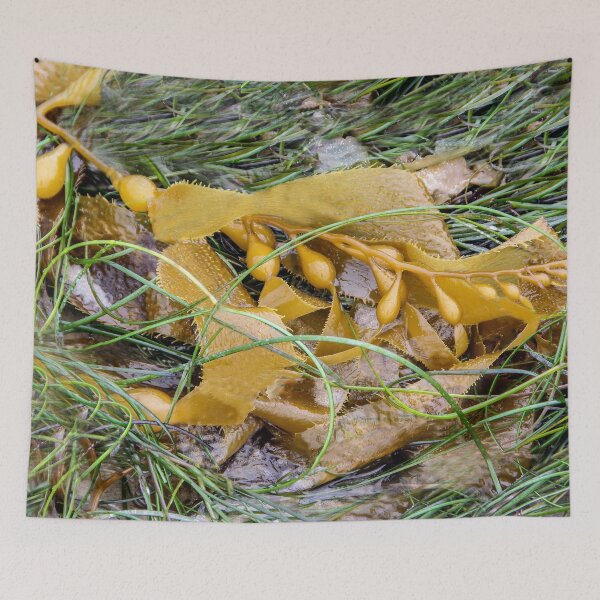 Item preview, Washed Up On the Beach designed and sold by heatherfriedman.