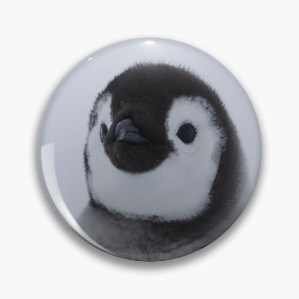 Item preview, Cute Emperor Penguin Chick 2 original size logo r designed and sold by SBPenguins.