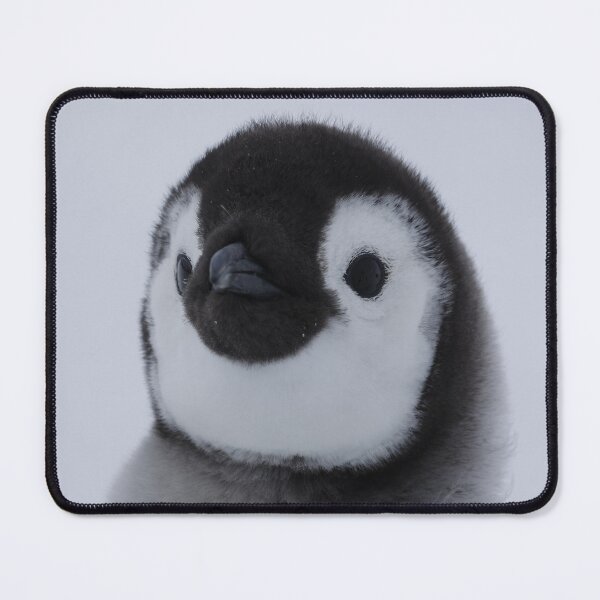 Item preview, Cute Emperor Penguin Chick 2 original size logo r (black background) designed and sold by SBPenguins.