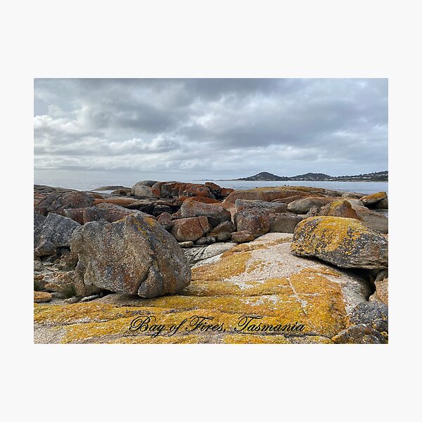 Item preview, Bay of Fires, Tasmania designed and sold by Arcane Botanica.