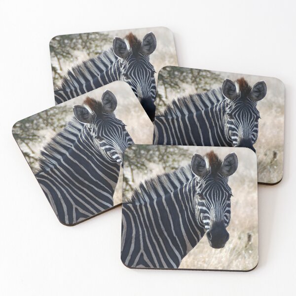 Item preview, Wild Zebra seen on African Safari designed and sold by jaynerushton.