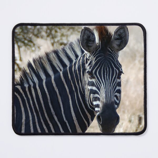 Item preview, Wild Zebra seen on African Safari designed and sold by jaynerushton.