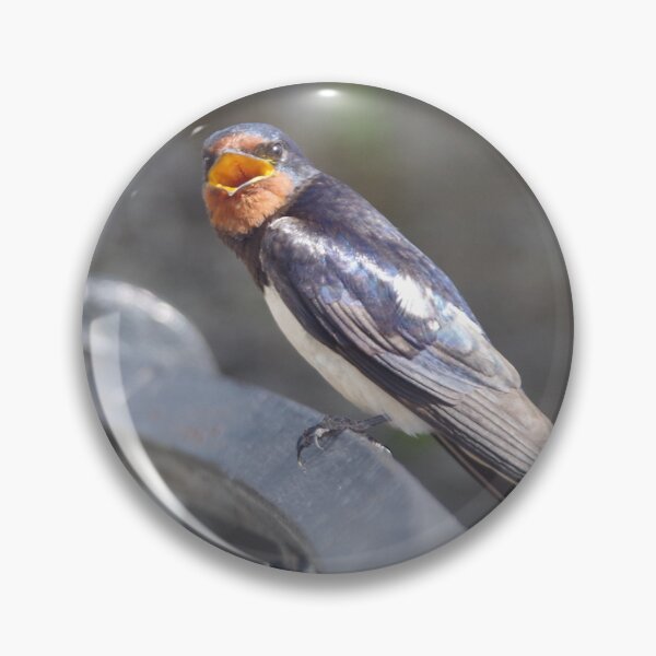 Item preview, Singing Barn Swallow  (Hirundo rustica) designed and sold by lezvee.