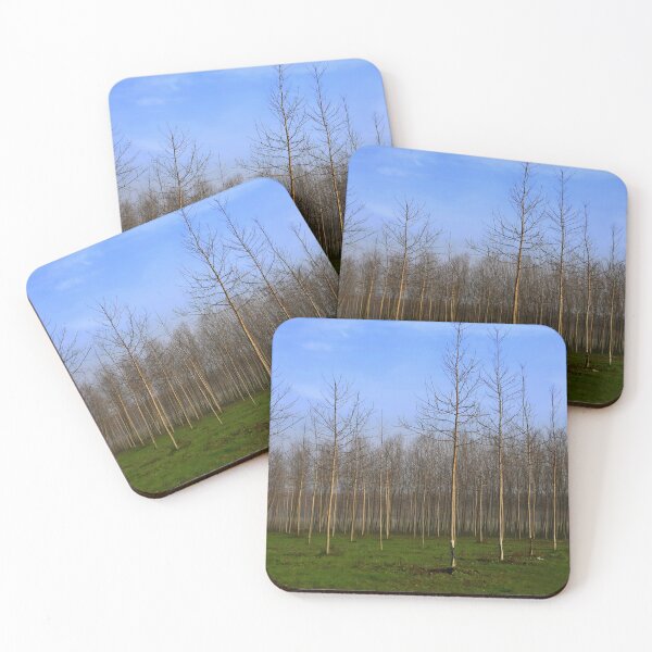 Item preview, Poplar grove in winter designed and sold by annalisa56.
