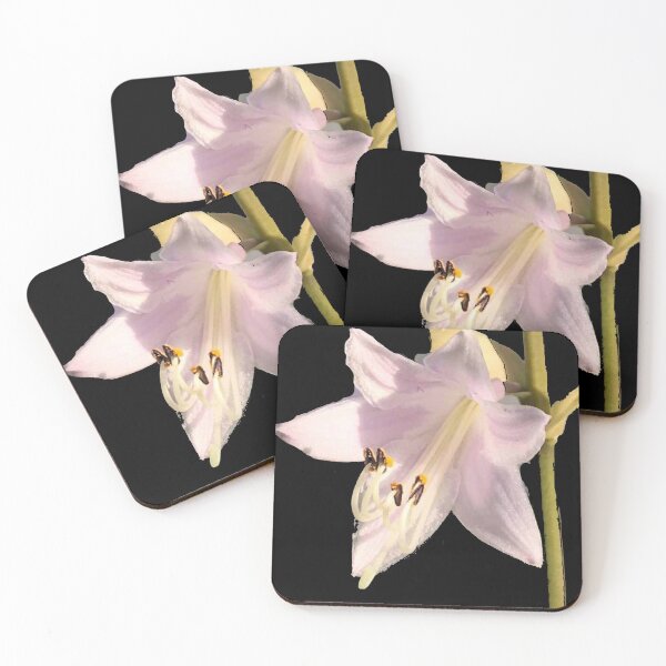 Item preview, Hosta Gold designed and sold by JuleZ54.