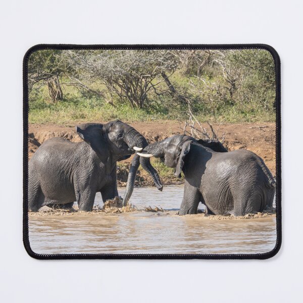 Item preview, Elephants At Play, Kruger National Park designed and sold by Andrew Goodall.