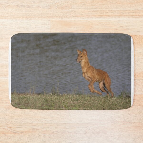 Item preview, Dhole Near a Lake designed and sold by Puttaswamy Ravishankar.