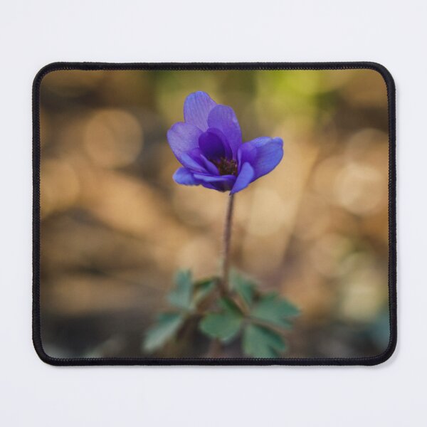 Item preview, Flower portrait with glowing bokeh background designed and sold by imerxh.
