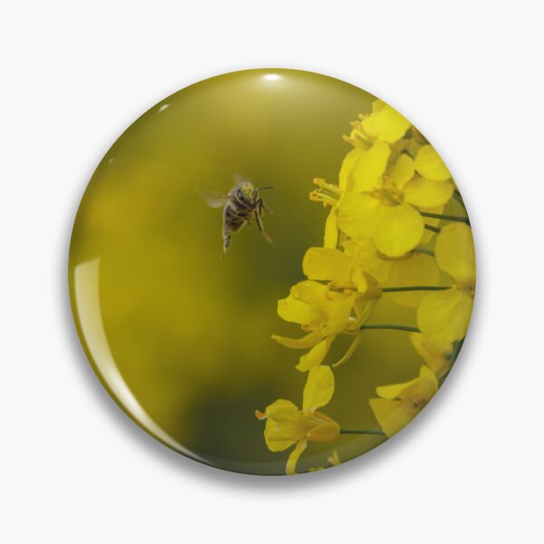 Item preview, Bee in the rapeseed field designed and sold by imerxh.