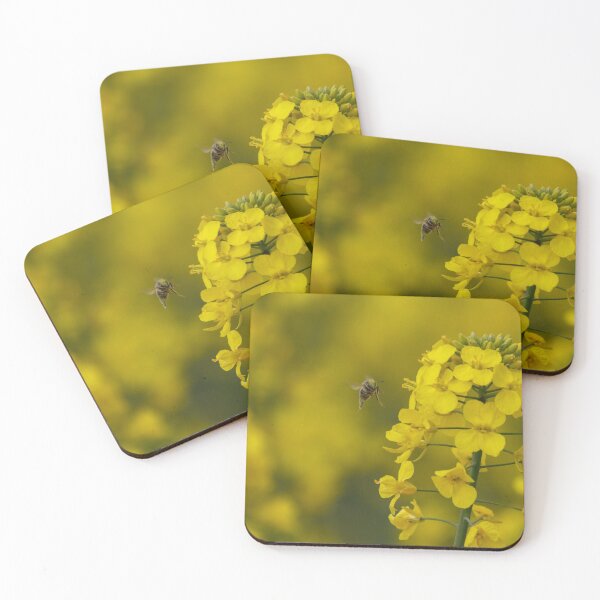 Item preview, Bee in the rapeseed field designed and sold by imerxh.
