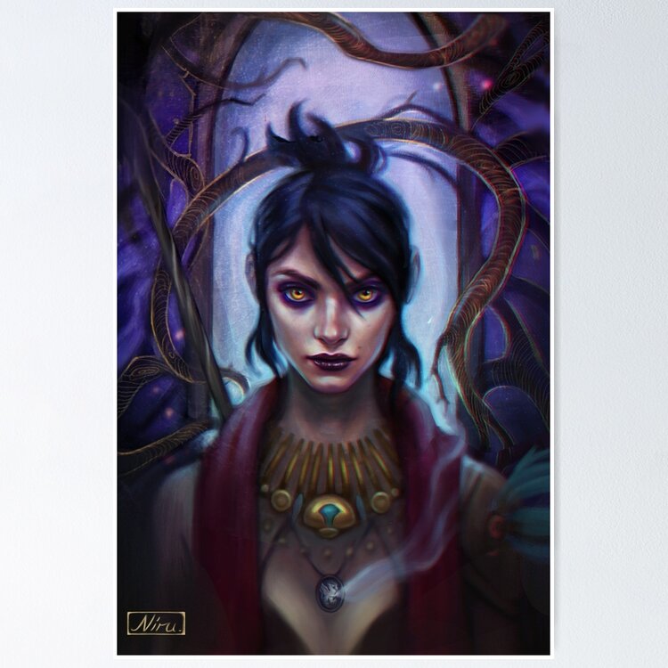 dragon age: origins - romanceable companions Photographic Print for Sale  by kalidels