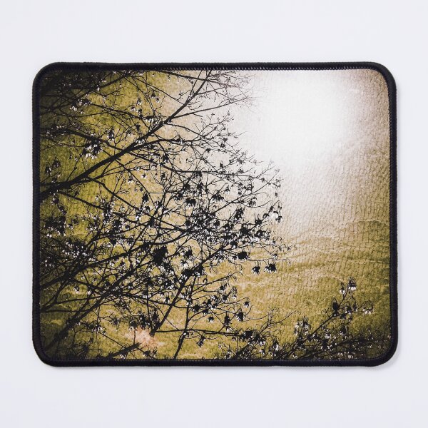 Item preview, Sugar Maple Seeds Glowing in the Amber Sunlight Haze designed and sold by SXW Designs.