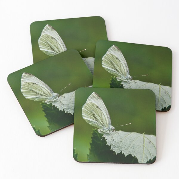 Item preview, Green Veined White designed and sold by Eidetic Photos.